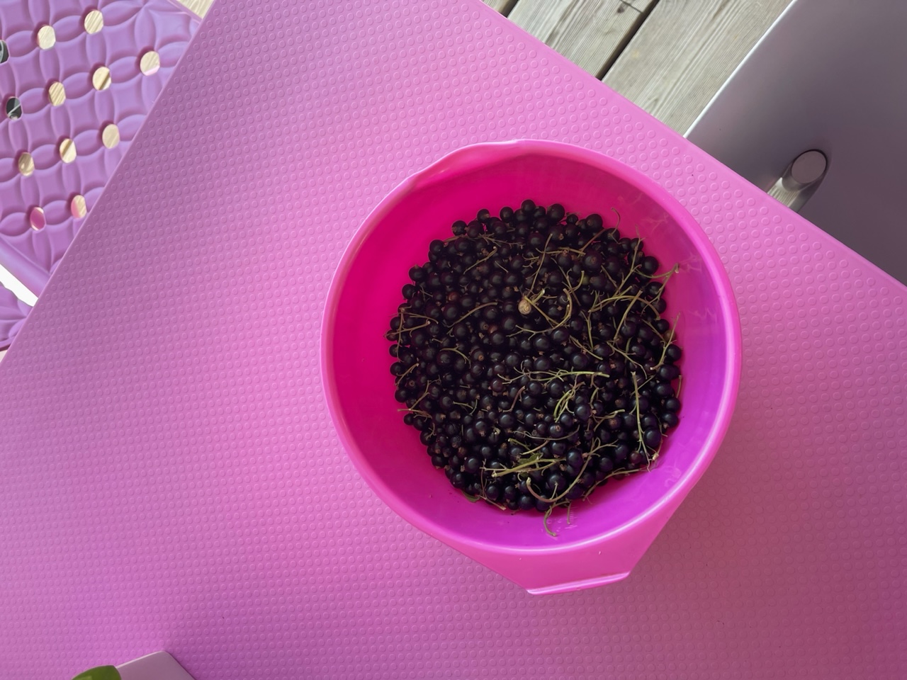 Svarta vinbär i en rosa plastbunke på ett rosa plastbord