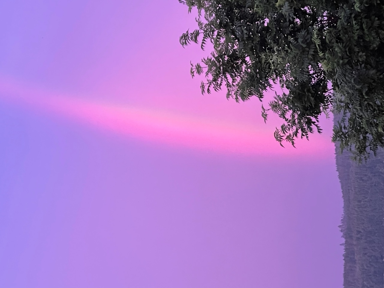 Regnbåge på lila himmel