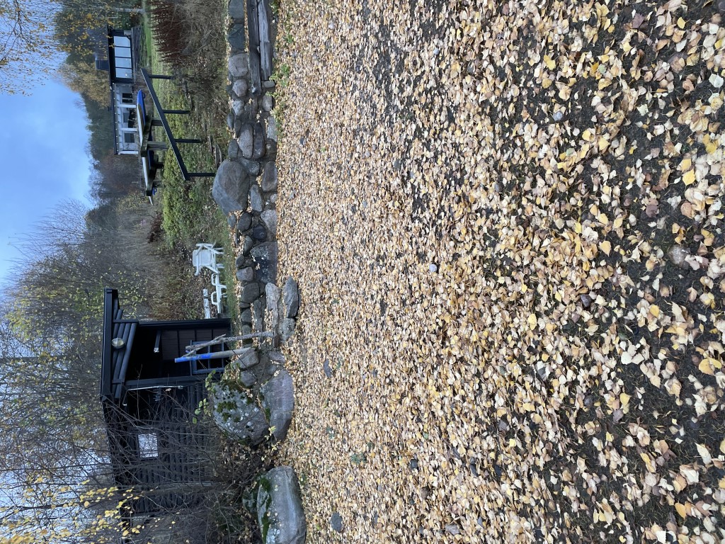 Stranden täckt med höstlöv