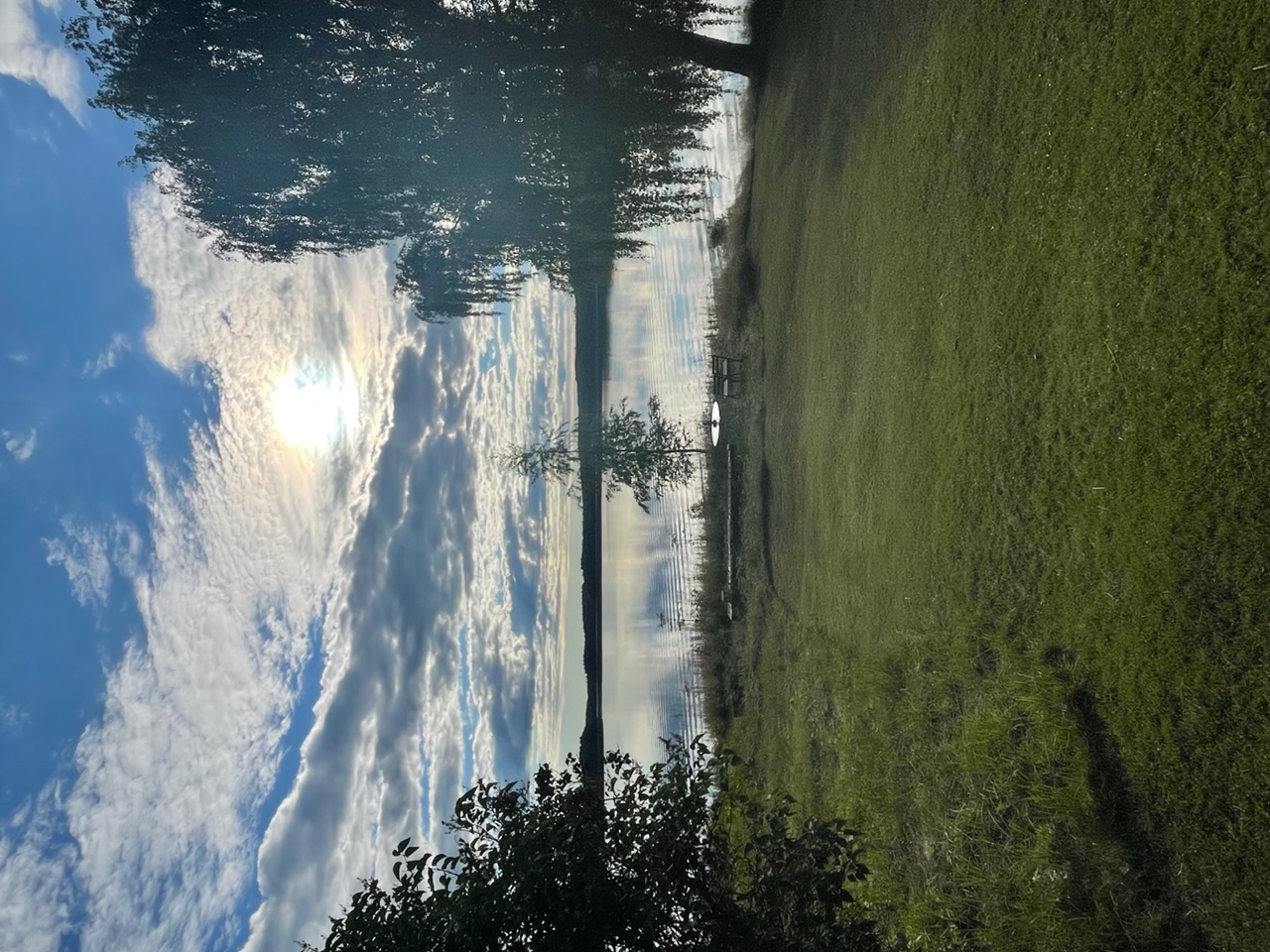 vybild gräsmatta och sjö