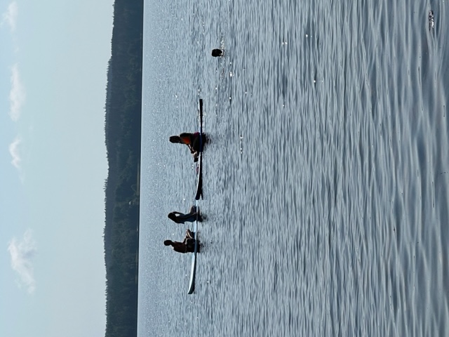 Personer på SUP och i sjön